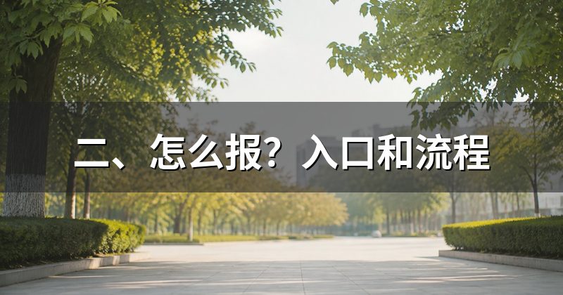 二、怎么报?入口和流程