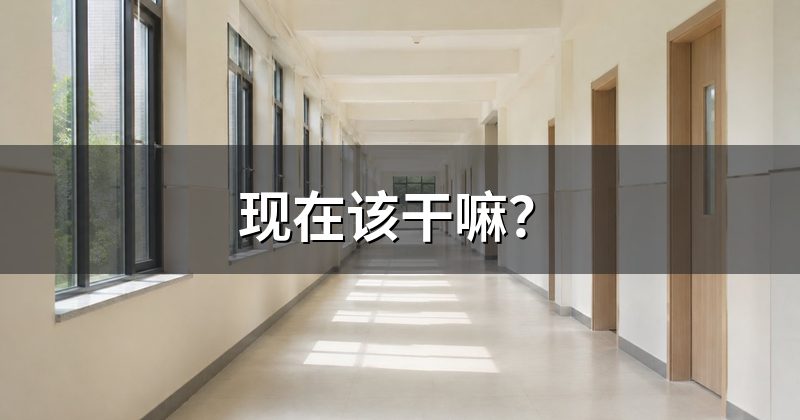 现在该干嘛?