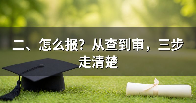 二、怎么报?从查到审,三步走清楚