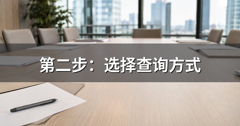 第二步：选择查询方式