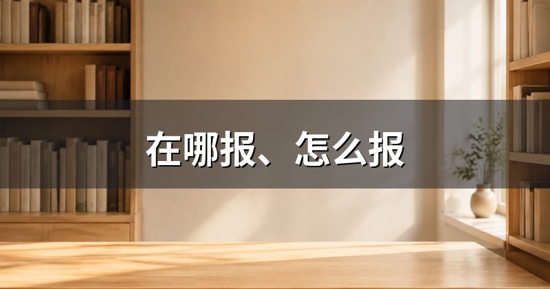 在哪报、怎么报