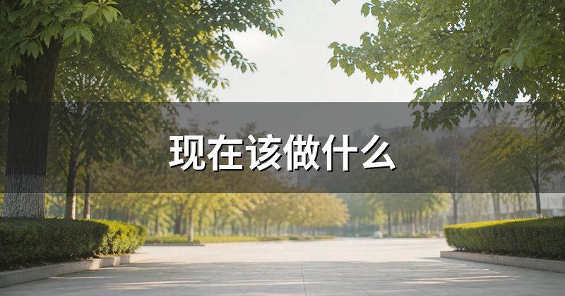 现在该做什么
