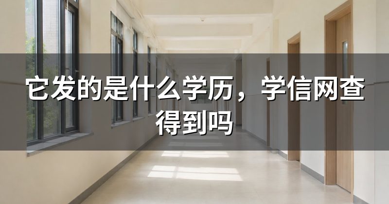 它发的是什么学历,学信网查得到吗
