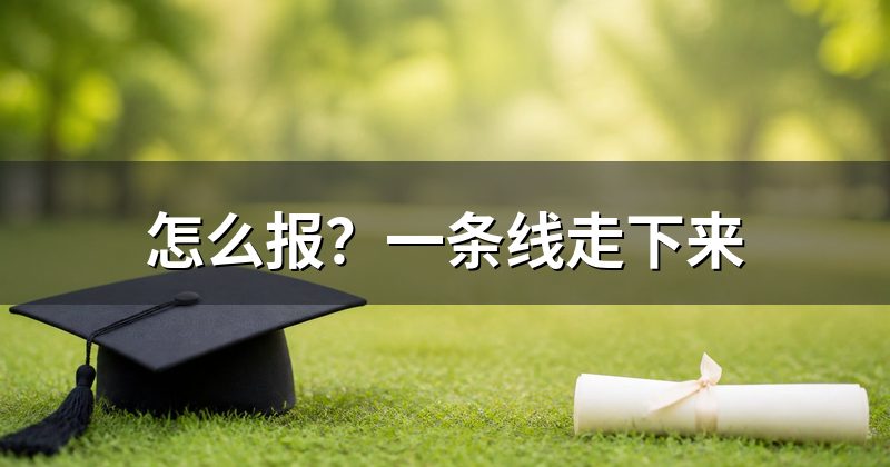 怎么报?一条线走下来