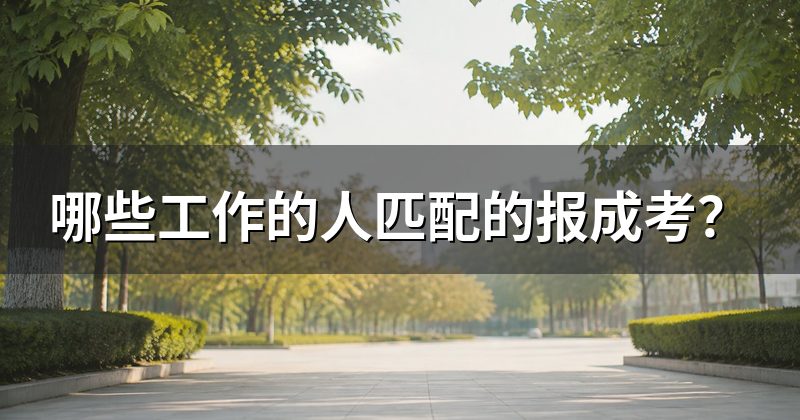 哪些工作的人匹配的报成考?