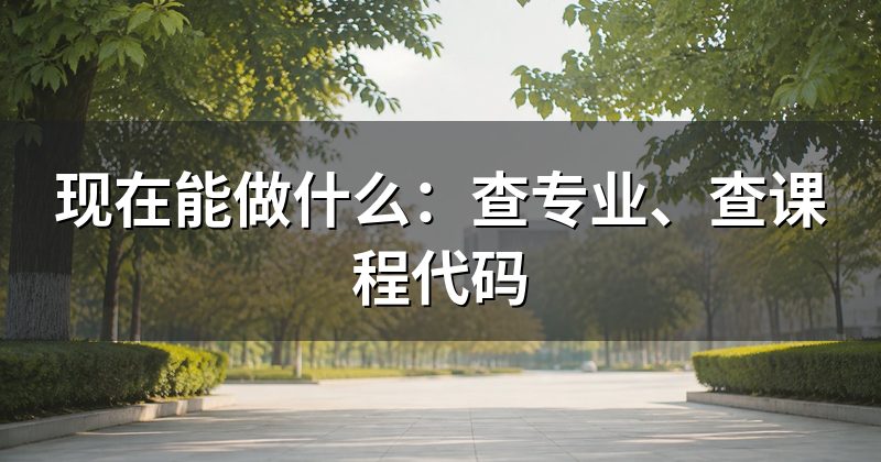 现在能做什么:查专业、查课程代码
