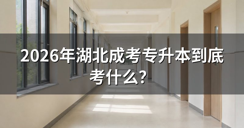 2026年湖北成考专升本到底考什么?