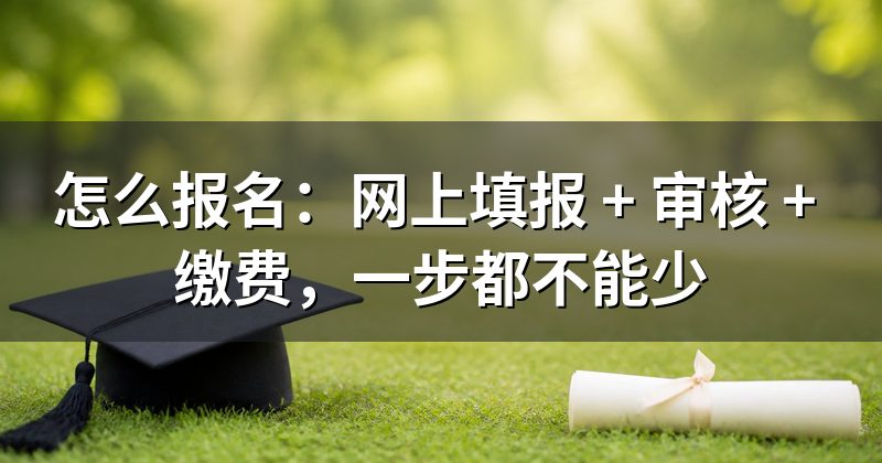 怎么报名：网上填报 + 审核 + 缴费，一步都不能少