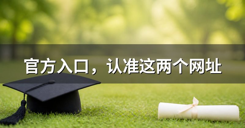 官方入口,认准这两个网址