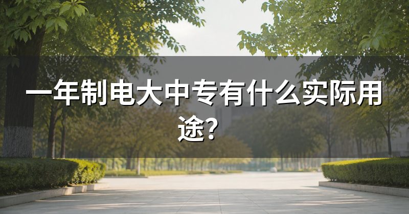 一年制电大中专有什么实际用途？