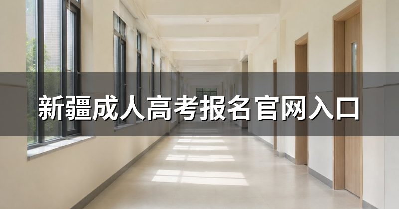 新疆成人高考报名官网入口