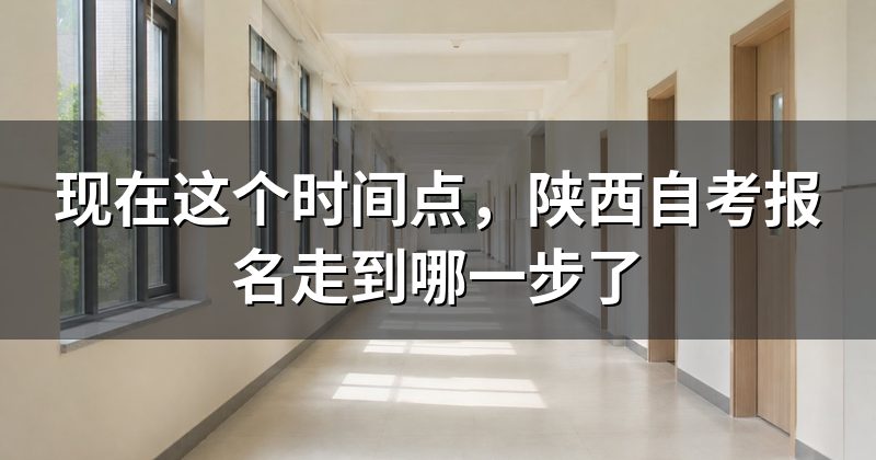 现在这个时间点,陕西自考报名走到哪一步了