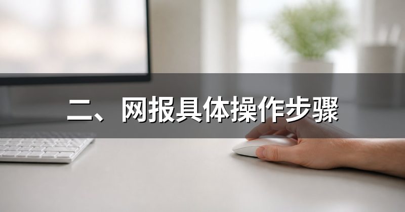 二、网报具体操作步骤