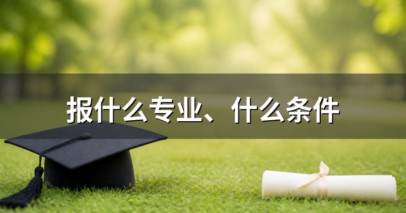 报什么专业、什么条件