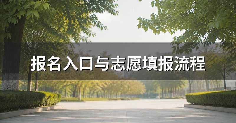 报名入口与志愿填报流程