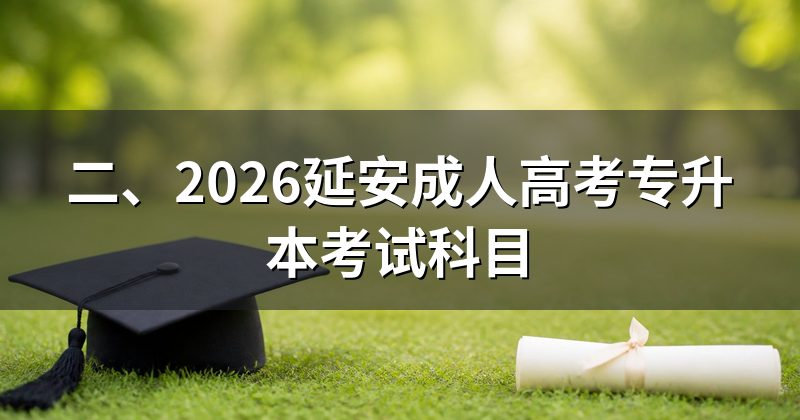 二、2026延安成人高考专升本考试科目