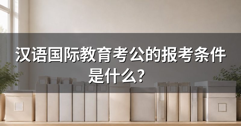 汉语国际教育考公的报考条件是什么？