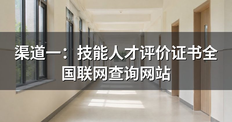渠道一:技能人才评价证书全国联网查询网站