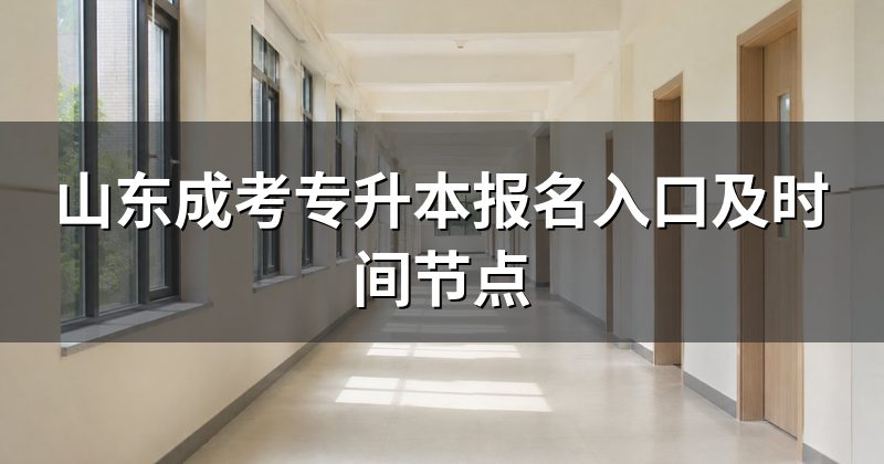 山东成考专升本报名入口及时间节点