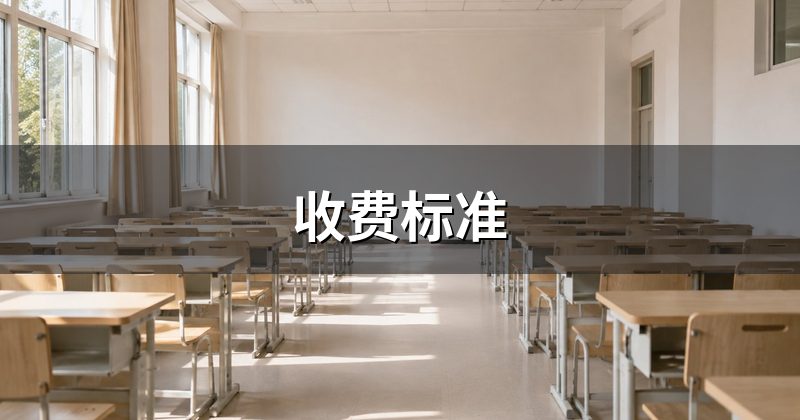 收费标准