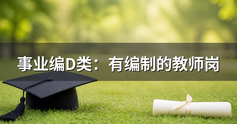 事业编D类：有编制的教师岗