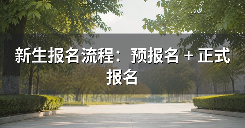 新生报名流程：预报名 + 正式报名
