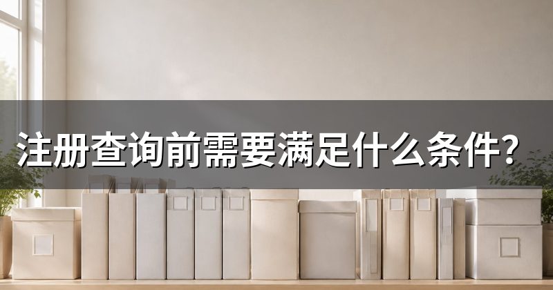 注册查询前需要满足什么条件?