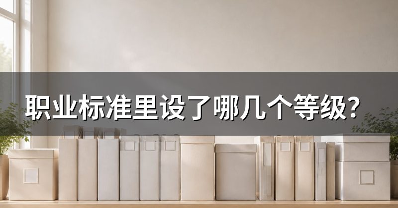 职业标准里设了哪几个等级?