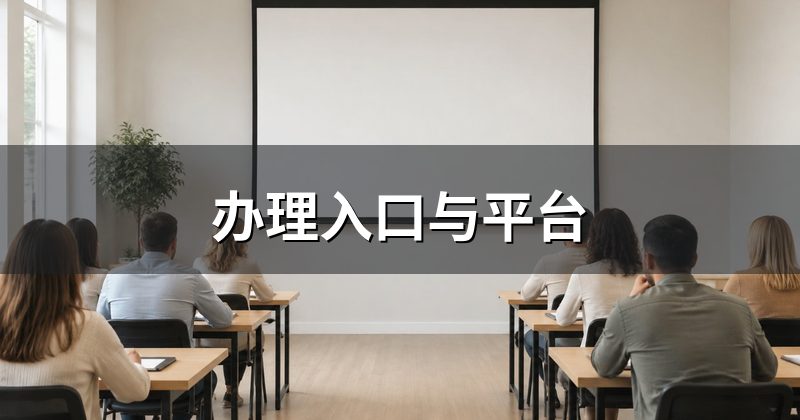 办理入口与平台