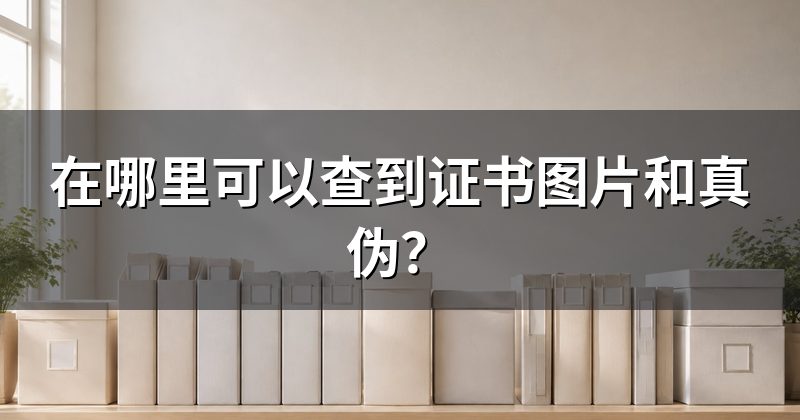 在哪里可以查到证书图片和真伪?