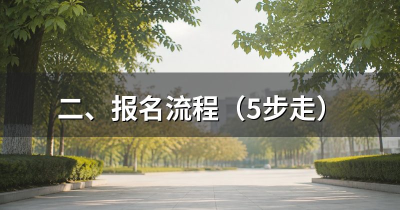 二、报名流程(5步走)