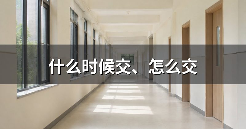 什么时候交、怎么交