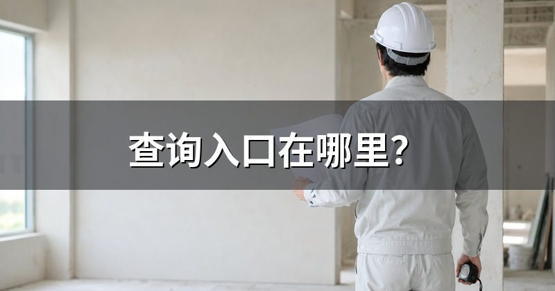 查询入口在哪里？