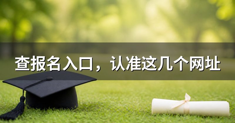 查报名入口,认准这几个网址