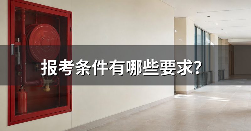 报考条件有哪些要求？