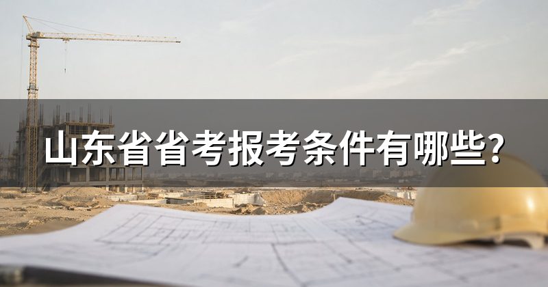 山东省省考报考条件有哪些?