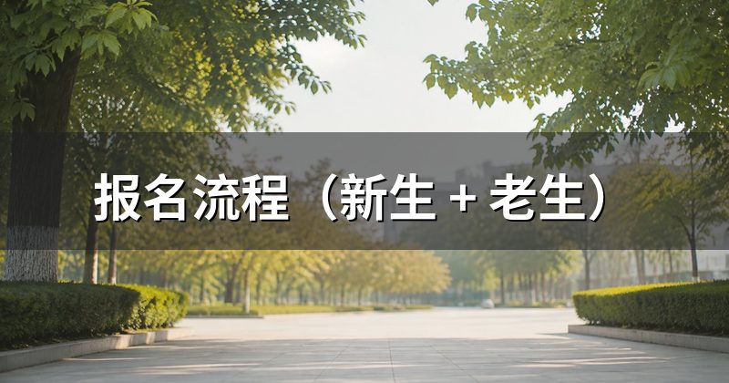 报名流程(新生 + 老生)