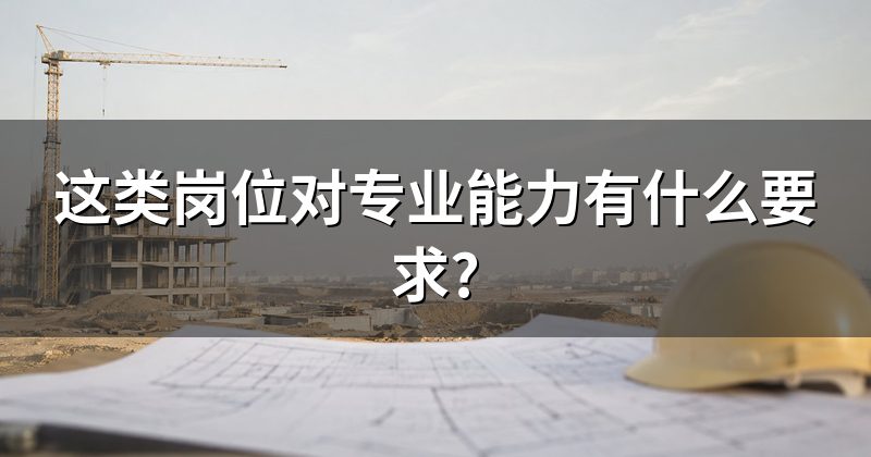 这类岗位对专业能力有什么要求?