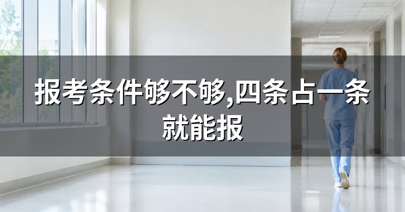 报考条件够不够,四条占一条就能报