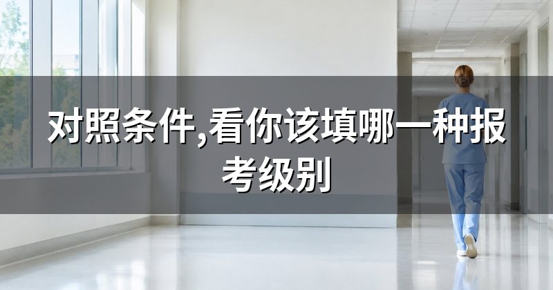 对照条件,看你该填哪一种报考级别