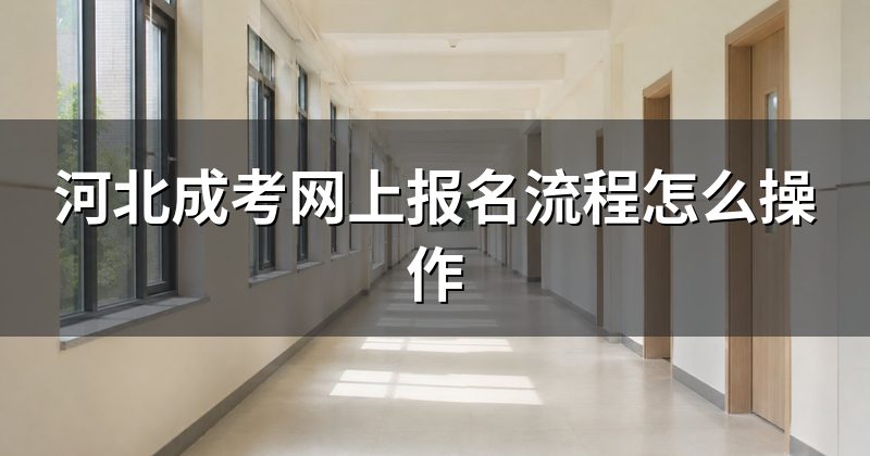 河北成考网上报名流程怎么操作