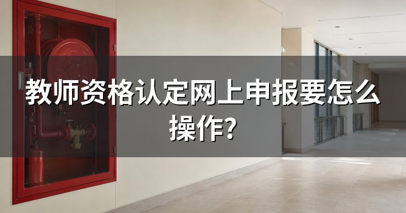 教师资格认定网上申报要怎么操作?