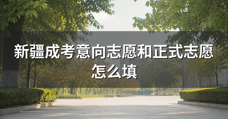 新疆成考意向志愿和正式志愿怎么填