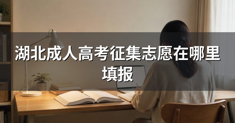 湖北成人高考征集志愿在哪里填报