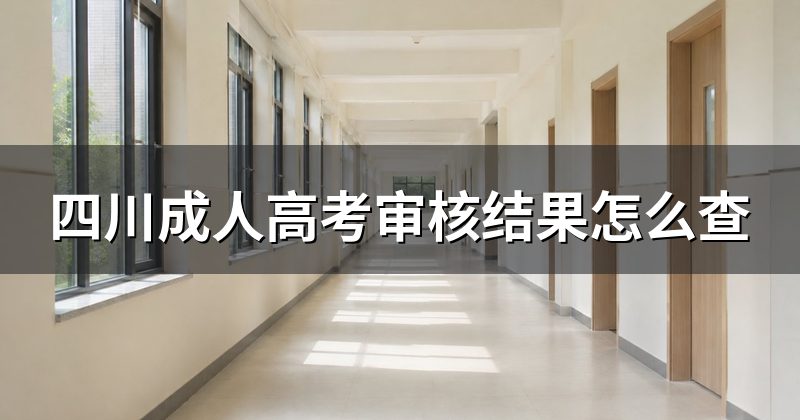 四川成人高考审核结果怎么查