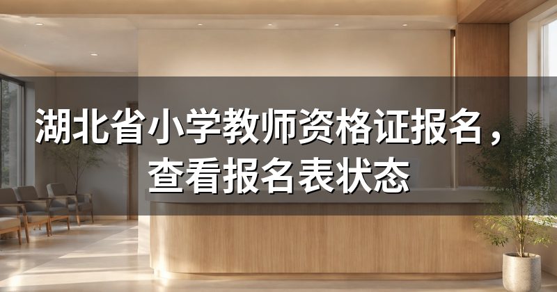 湖北省小学教师资格证报名,查看报名表状态