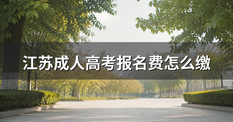 江苏成人高考报名费怎么缴