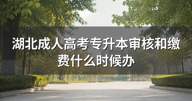 湖北成人高考专升本审核和缴费什么时候办