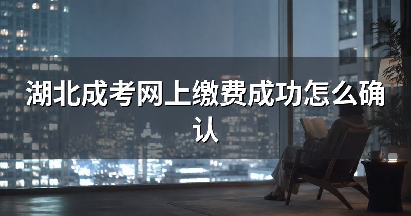 湖北成考网上缴费成功怎么确认