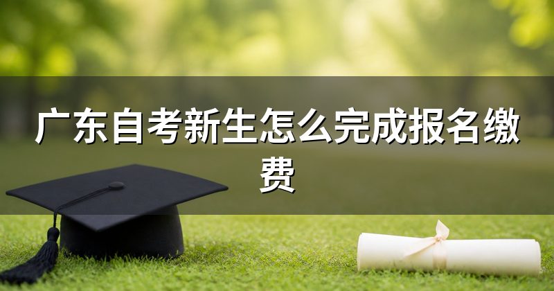 广东自考新生怎么完成报名缴费